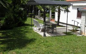 Apartment Alsia